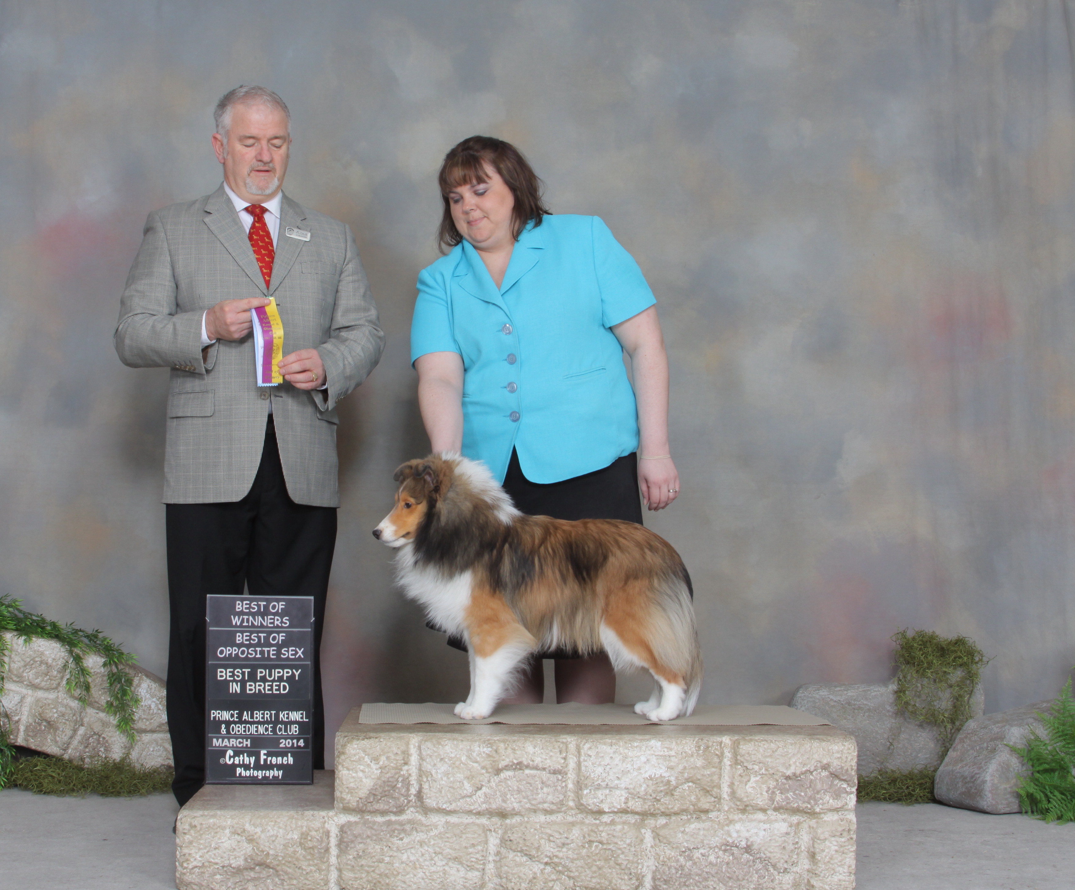 zesta-shelties